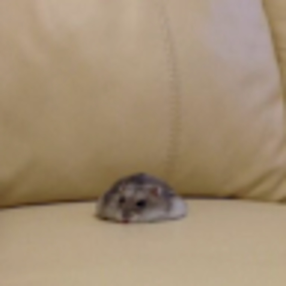 Meet your Posher, Lemma